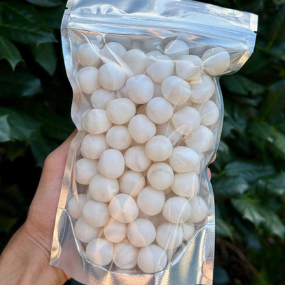 Pina Colada Fruit Sours